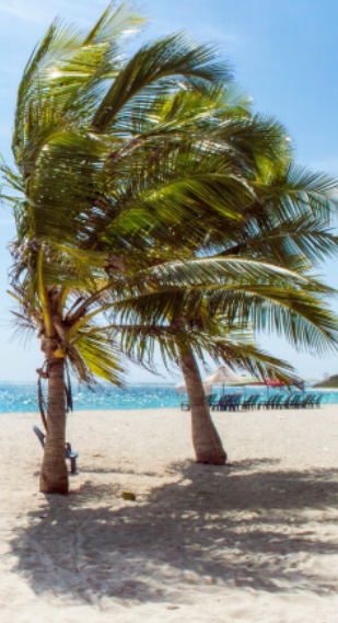 app entrenadores futbol femenino